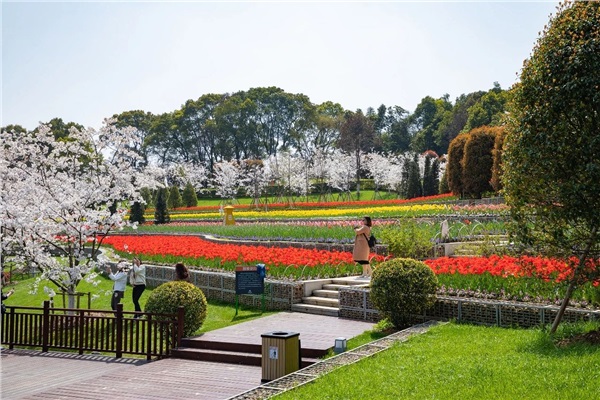 岳陽花語世界、汴河街一日游