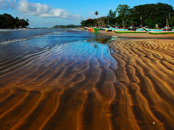 情定斯里蘭卡6天 情定斯里蘭卡6天