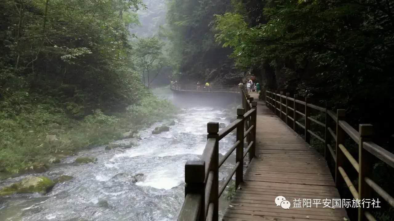 　張家界大峽谷、玻璃橋、黃龍洞品質純玩兩日游c2