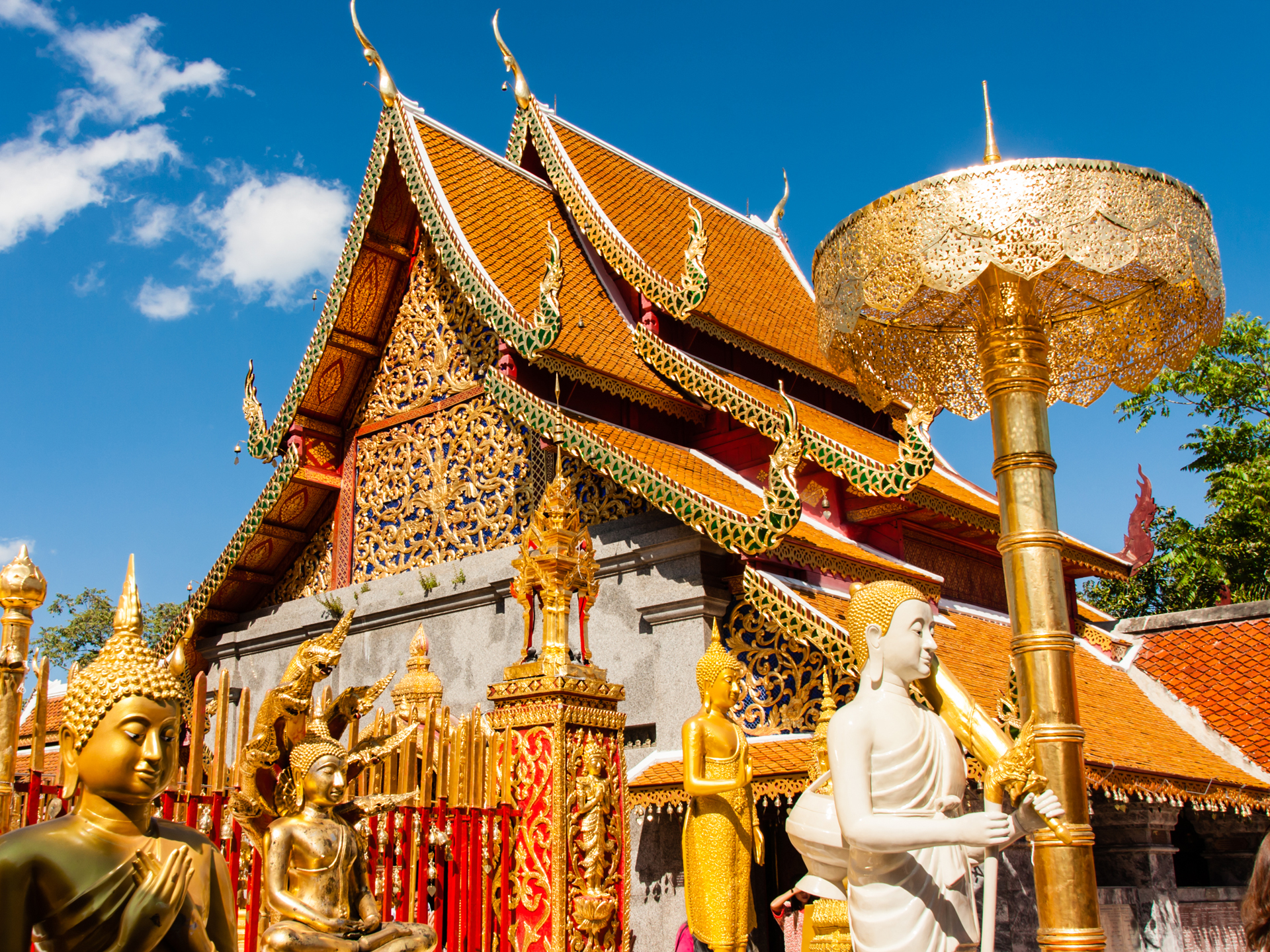 清邁、清萊雙飛7天6晚游
