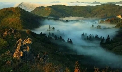 益陽安化?天下茶道、云臺山、茶香花海2日游