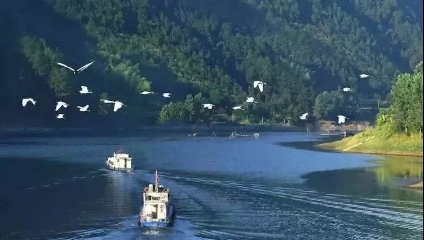 益陽安化?天下茶道、云臺山、茶香花海2日游