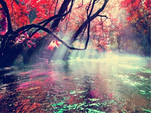 貴州-黃果樹瀑布、荔波大小七孔、西江千戶苗寨5日游