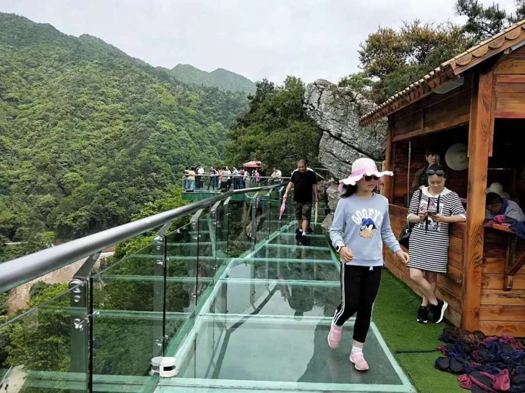 益陽安化?天下茶道、云臺山、茶香花海2日游