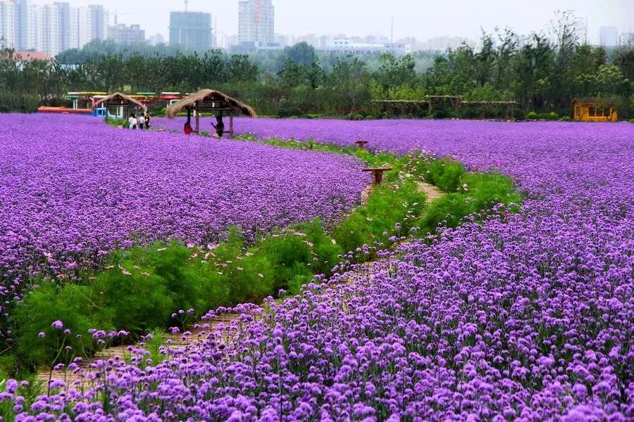 長沙?華誼兄弟電影小鎮(zhèn)、李自健美術(shù)館一日游