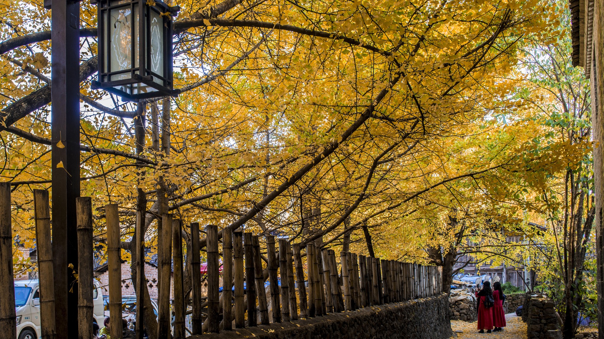 長沙直飛騰沖、瑞麗、芒市雙飛六日游
