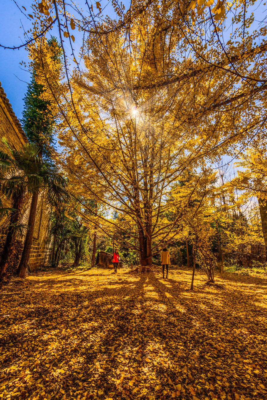 長沙直飛騰沖、瑞麗、芒市雙飛六日游