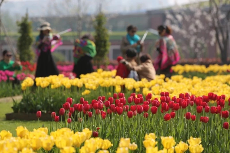 岳陽花語世界、汴河街一日游