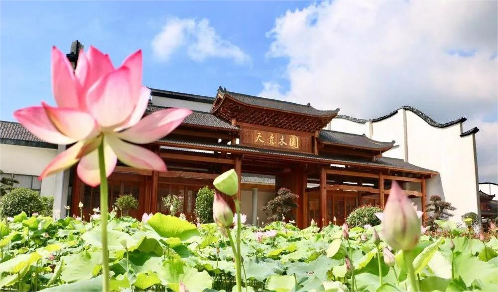 清溪村、天意木國景區(qū)、明清古巷、市博物館、胡林翼故居二日游